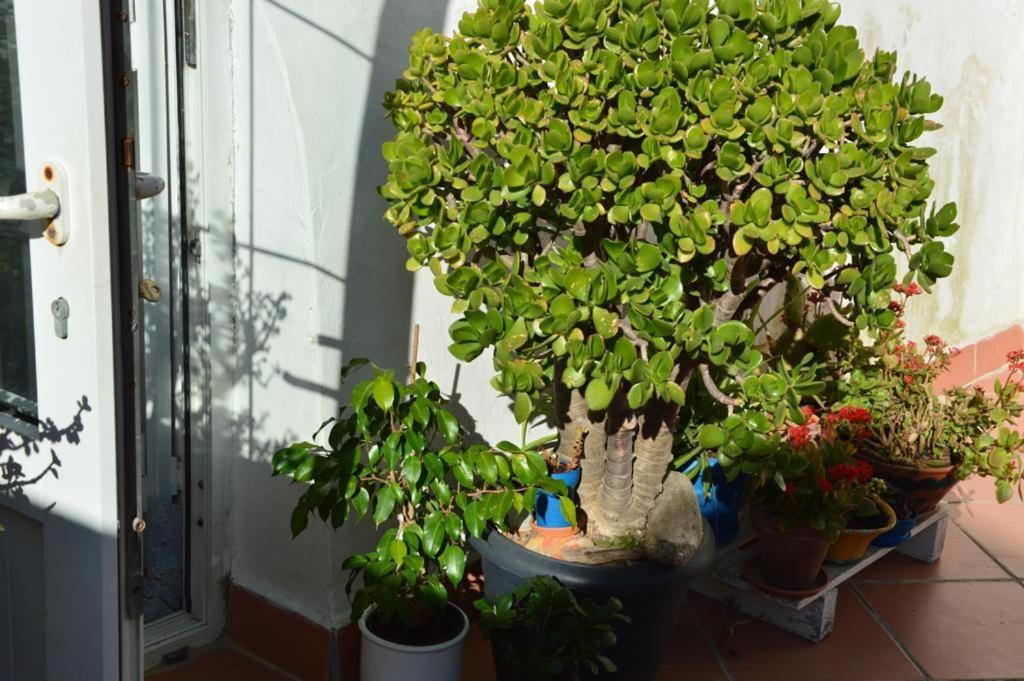 B&B Spiraglio Syracuse Eksteriør bilde